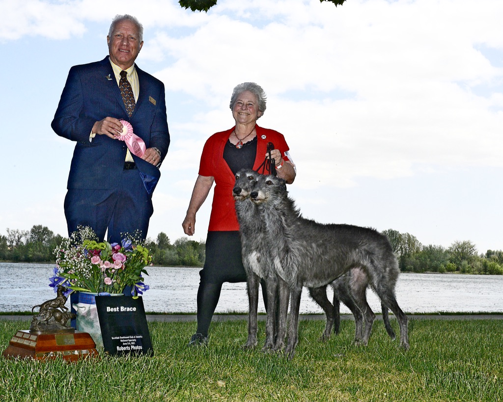 BFsIj21%S0KFT6tXaBcMXA_thumb_2878