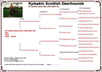 Kelpie Pedigree.png