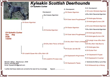 Screenshot 2015-05-16 18.38.06.png