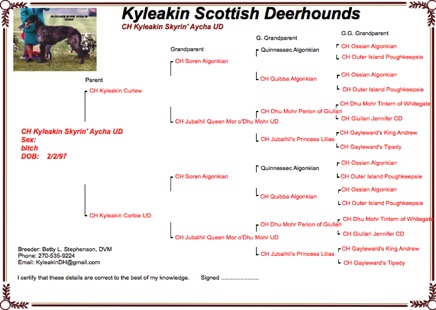 Aycha Pedigree.png