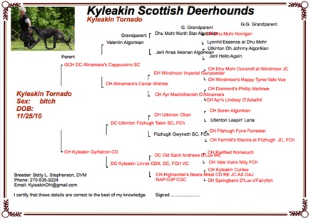 Screenshot 2015-07-13 21.19.28.png