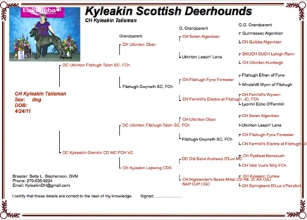 Screenshot 2015-05-16 18.50.02.png