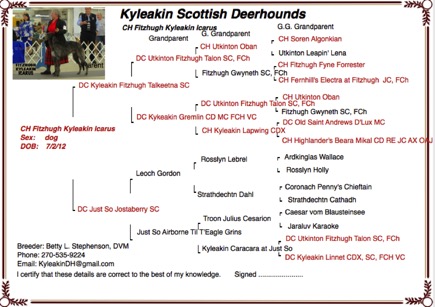 Screenshot 2015-09-09 14.24.51.png