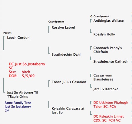 Screen Shot 2014-11-05 at 3.08.04 PM.png