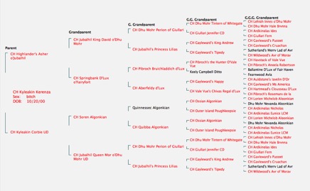 Screenshot 2014-12-29 20.42.18.png