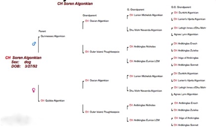 Screen Shot 2014-11-26 at 7.27.04 PM.png