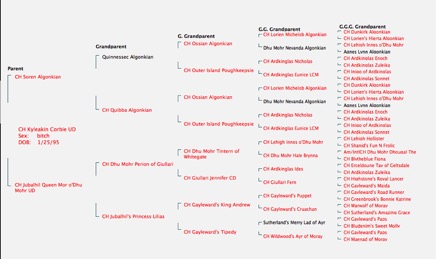 Screenshot 2014-12-29 20.36.38.png