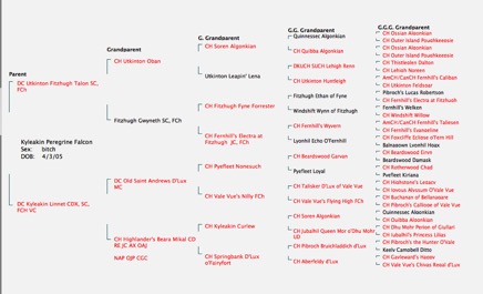 Screenshot 2014-12-29 20.43.02.png