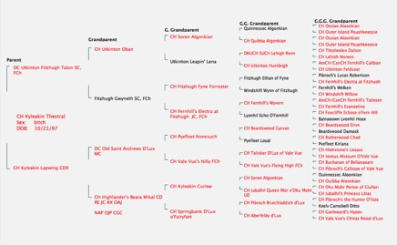 Screenshot 2014-12-29 20.43.53.png