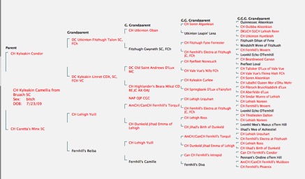 Screenshot 2014-12-29 20.44.40.png