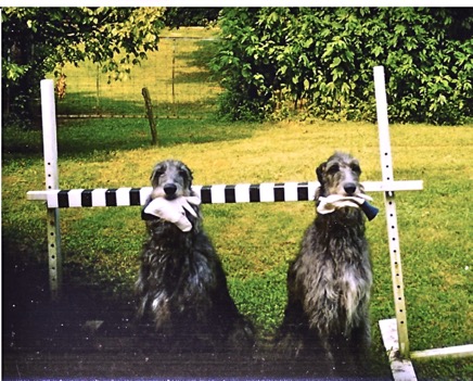 Corbie & Aycha 5.jpg