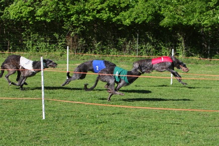 Copy (1) of TU3_6560.JPG