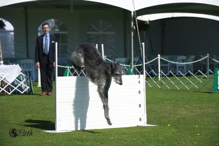 Beth Adams - DSC_5676.jpg