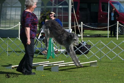 Beth Adams - DSC_5686.jpg