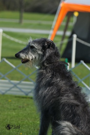 Beth Adams - DSC_5705.jpg