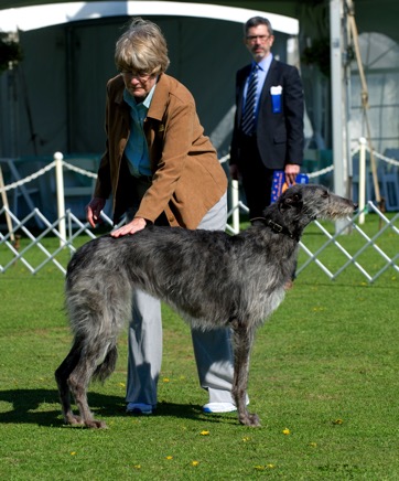 Beth Adams - DSC_5754.jpg