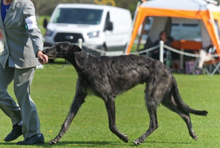 Screenshot 2016-05-18 15.22.54.png