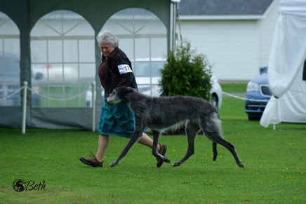 Beth Adams - DSC_0577.jpg