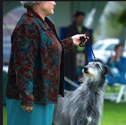 Screenshot 2016-05-21 21.49.53.jpg