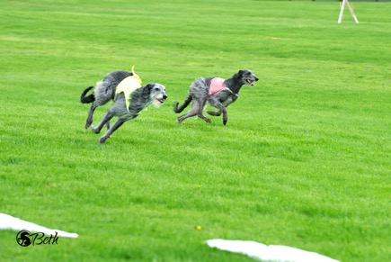 Beth Adams - DSC_2508.jpg