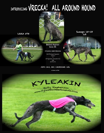 VRECKA ALL AROUND HOUND.jpg