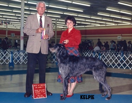 KELPIE CH 75.jpg